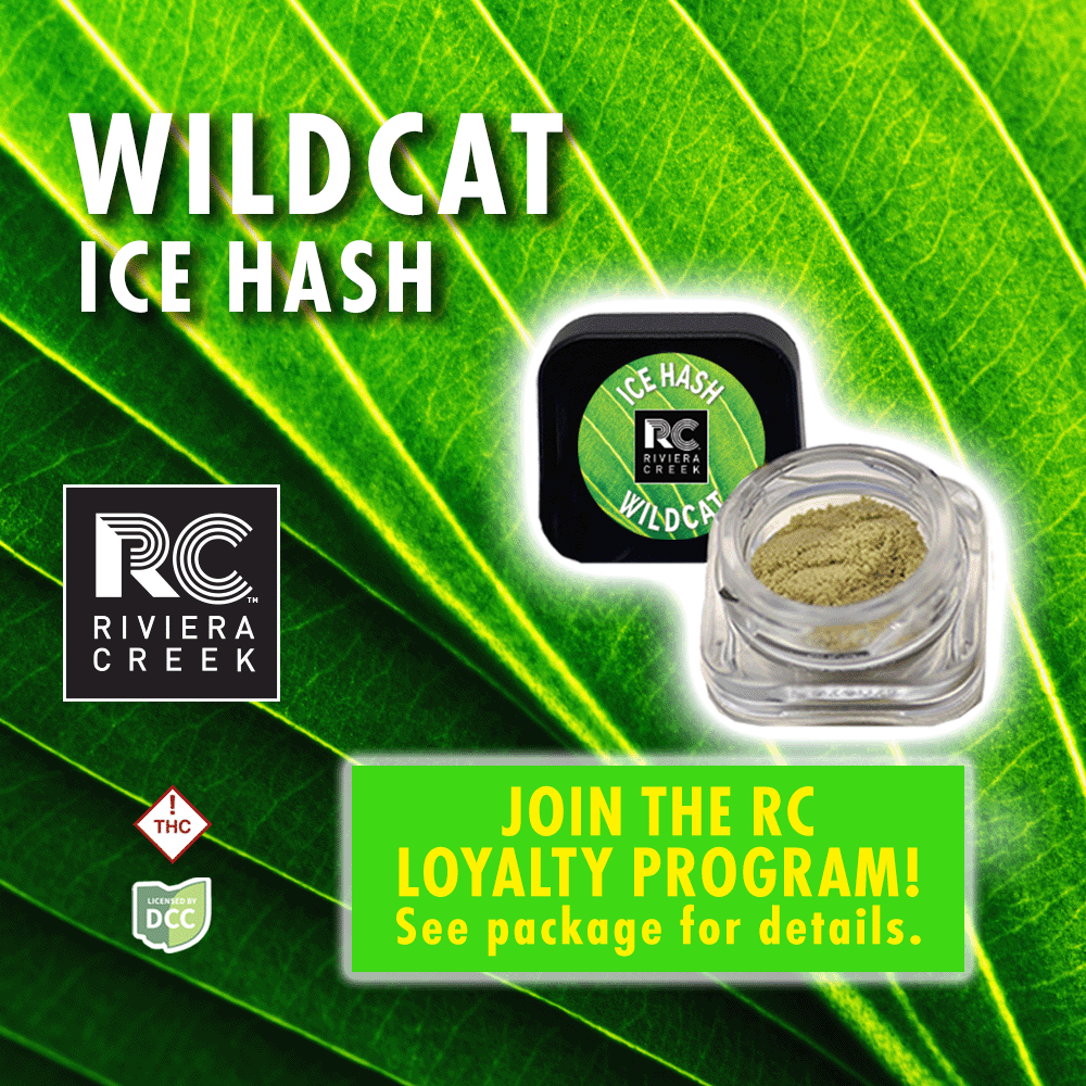 wild cat - 0.5g  hash - sativa 