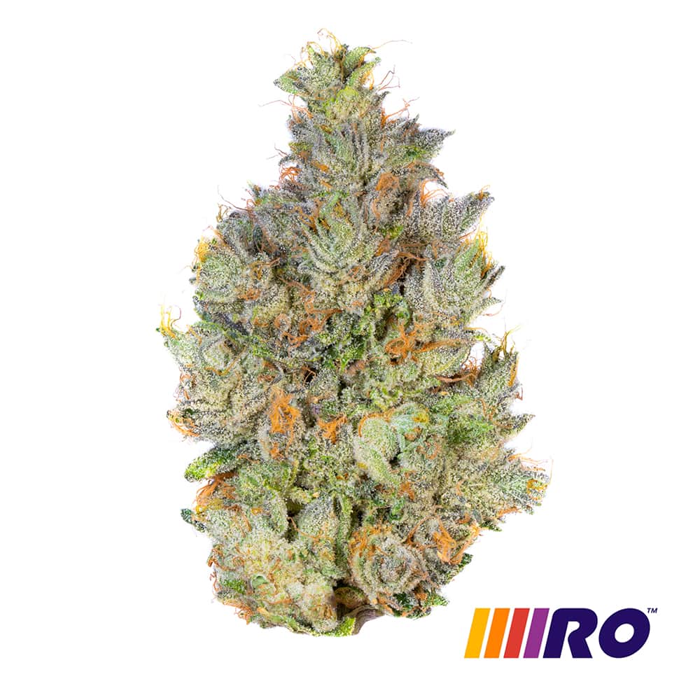 buffalo jack - 5.66g  whole buds - sativa 