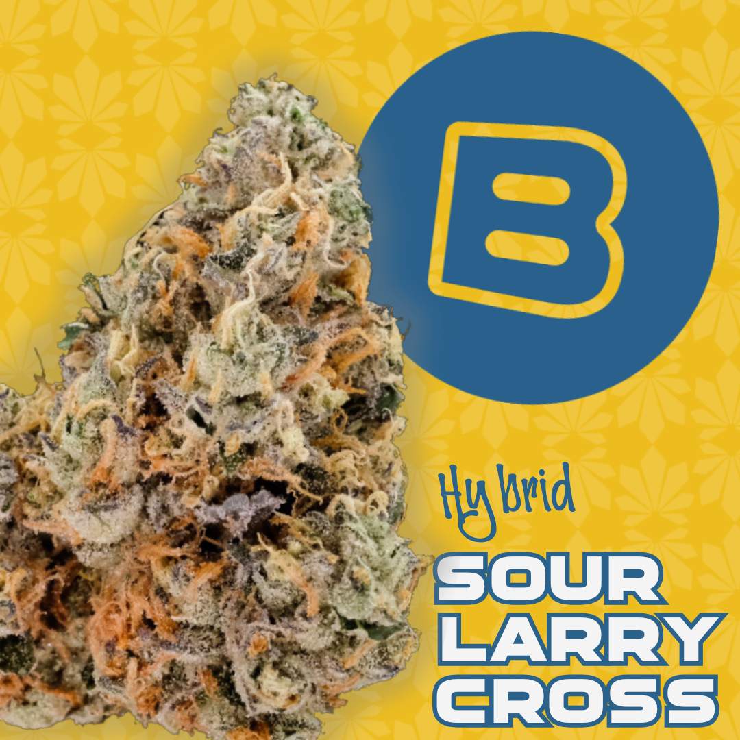 sour larry cross - 2.83g  whole buds - hybrid 