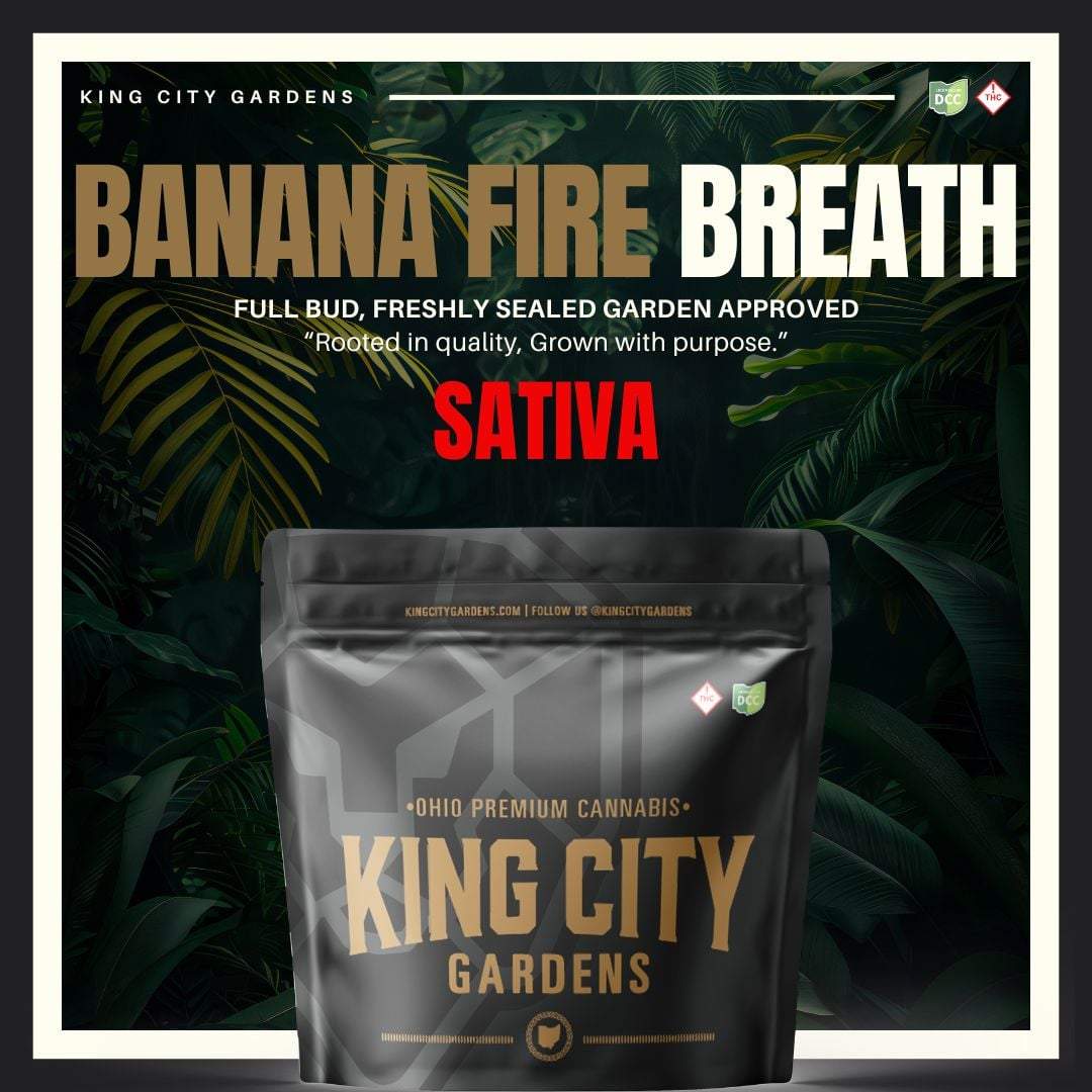 Banana Fire Breath - 2.83g Whole Buds - Sativa