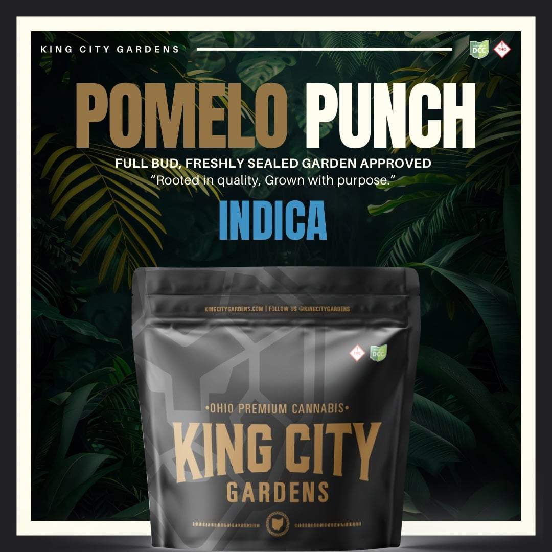 Pomelo Punch - 2.83g Whole Buds - Indica