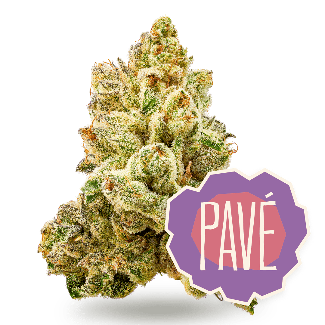 Pave - 3.5g Whole Buds - Hybrid