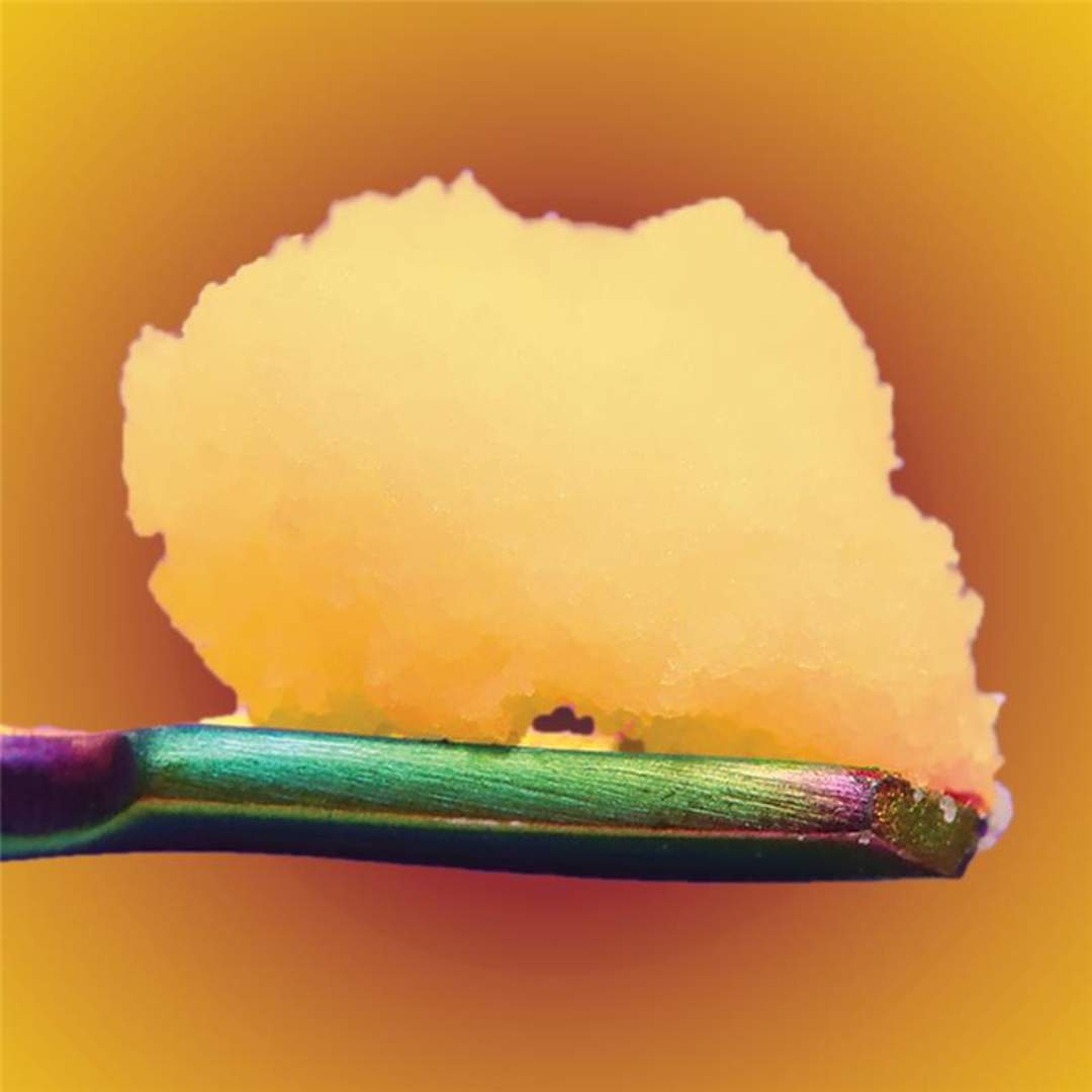 sour diesel - 1g  waxes - sativa 