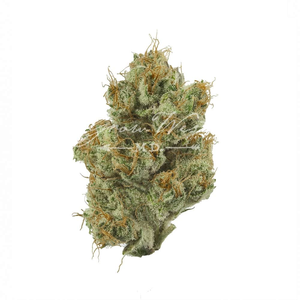 Shrieker - 3.5g Whole Buds - Sativa