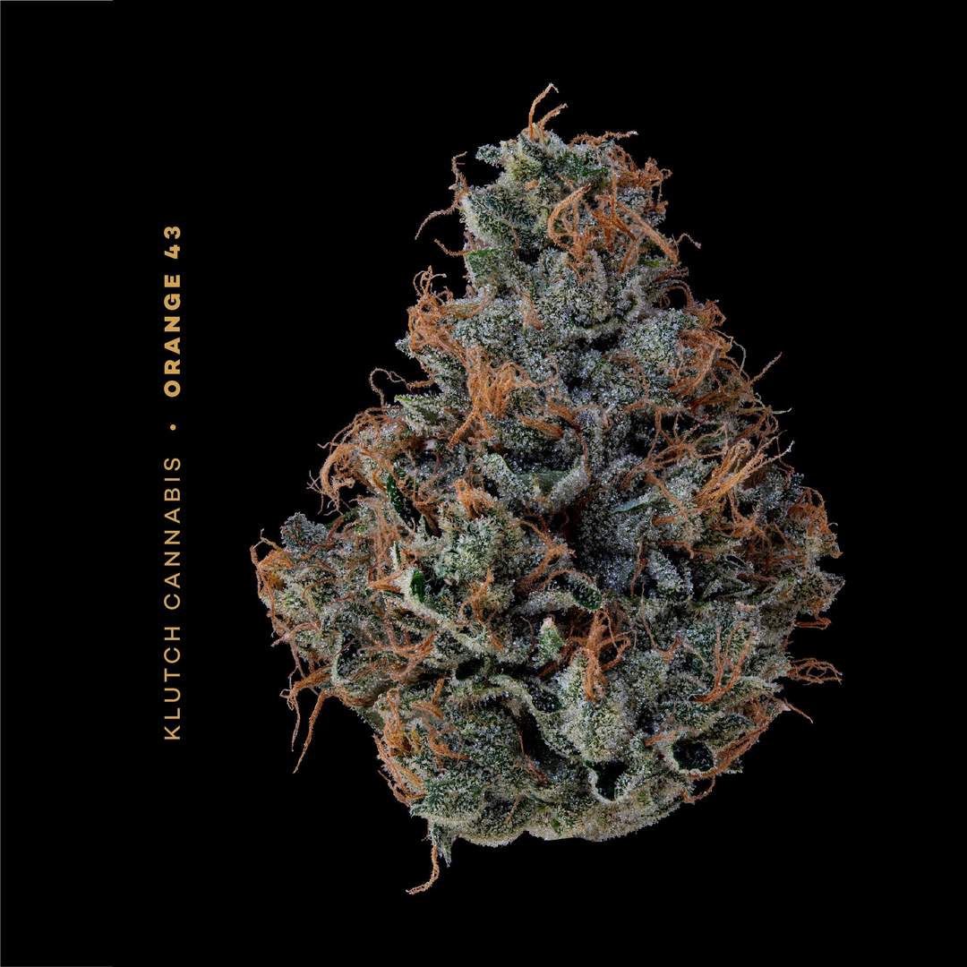 orange 43 - 14g  whole buds - sativa 