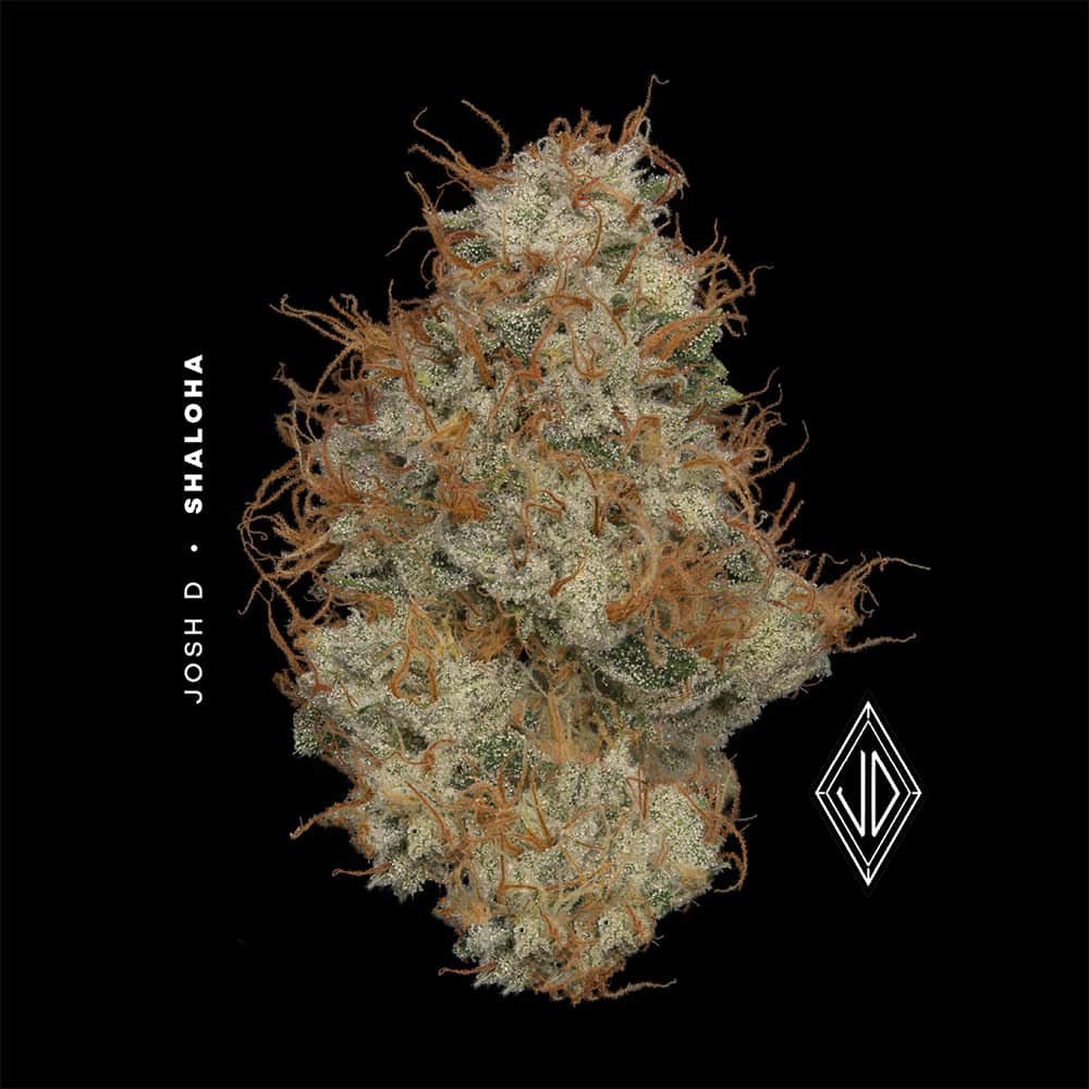 shaloha - 2.83g whole buds - hybrid