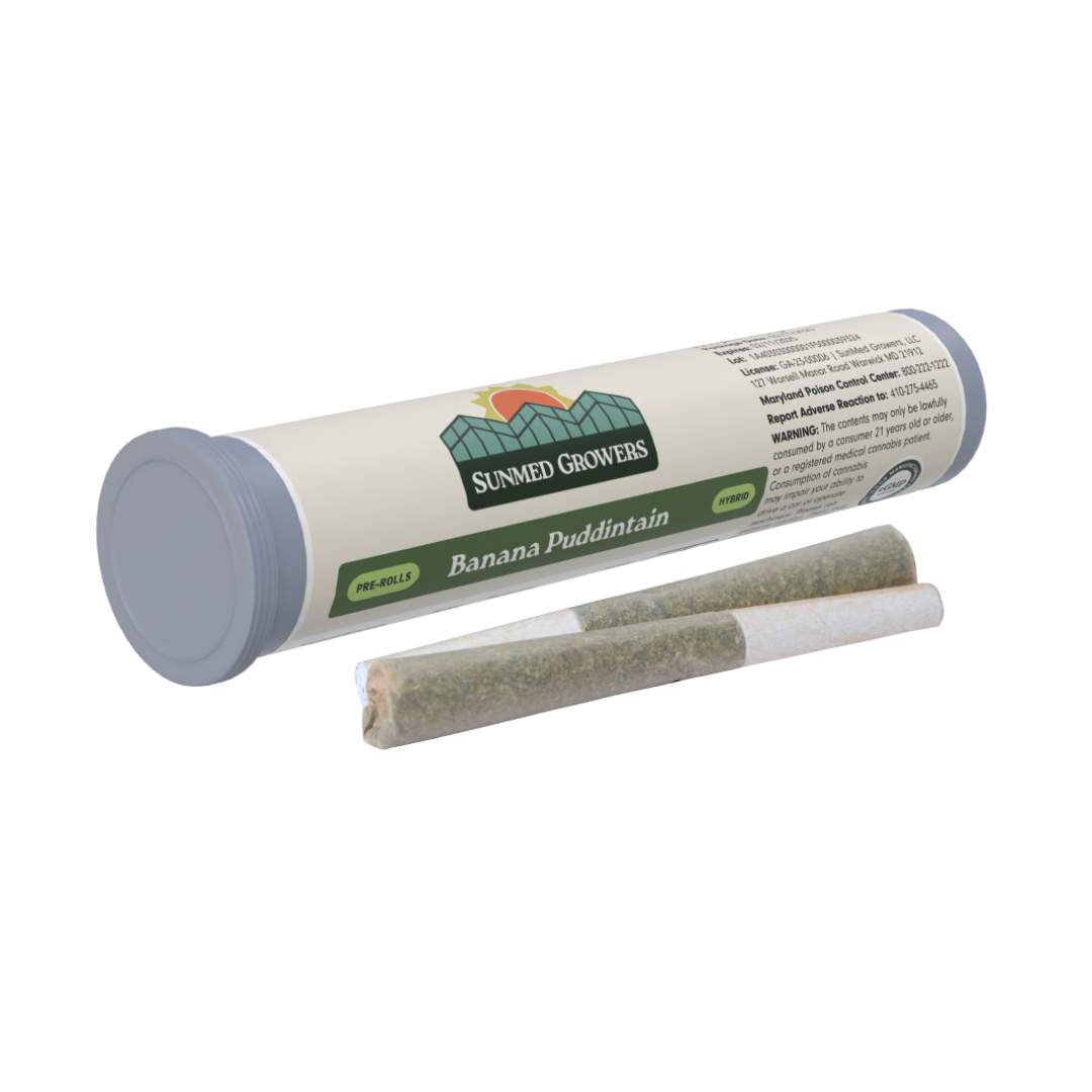 banana puddintain - 1g  packs - hybrid  - 2pk