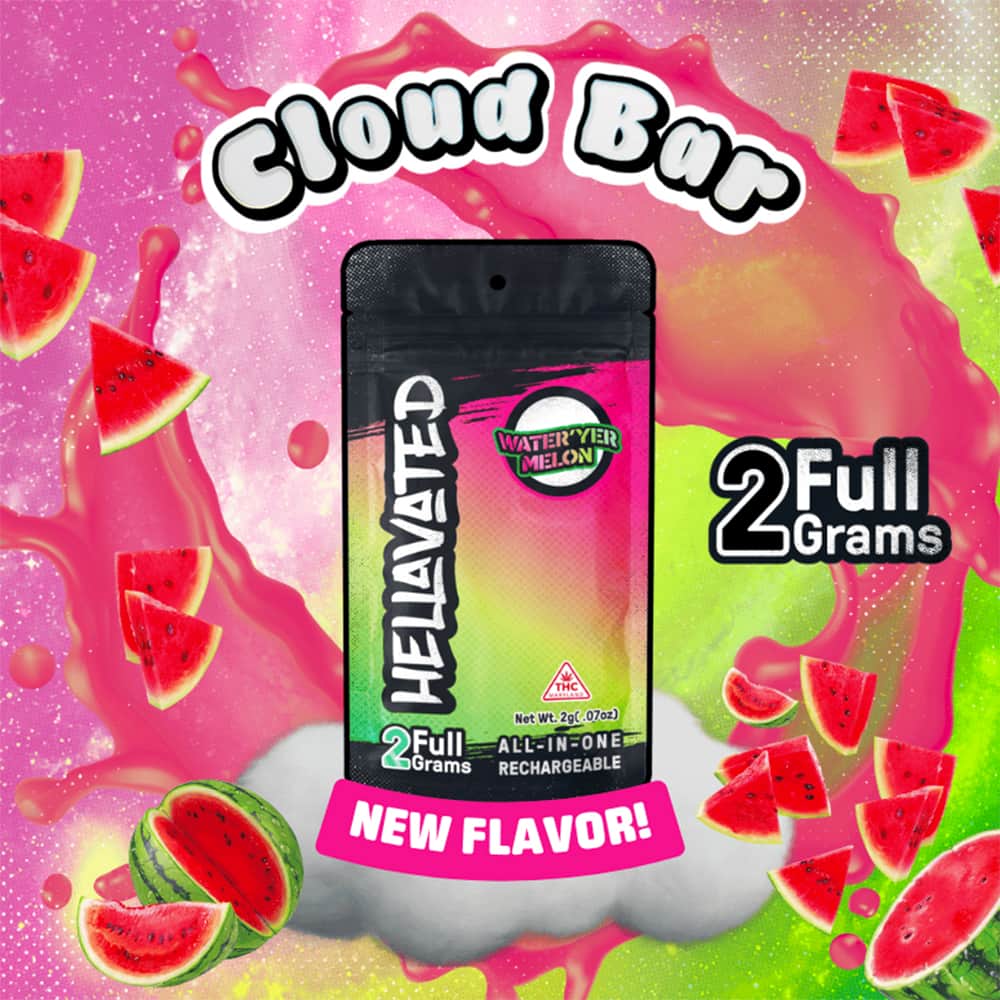 water 'yer melon - 2g distillate disposables - hybrid