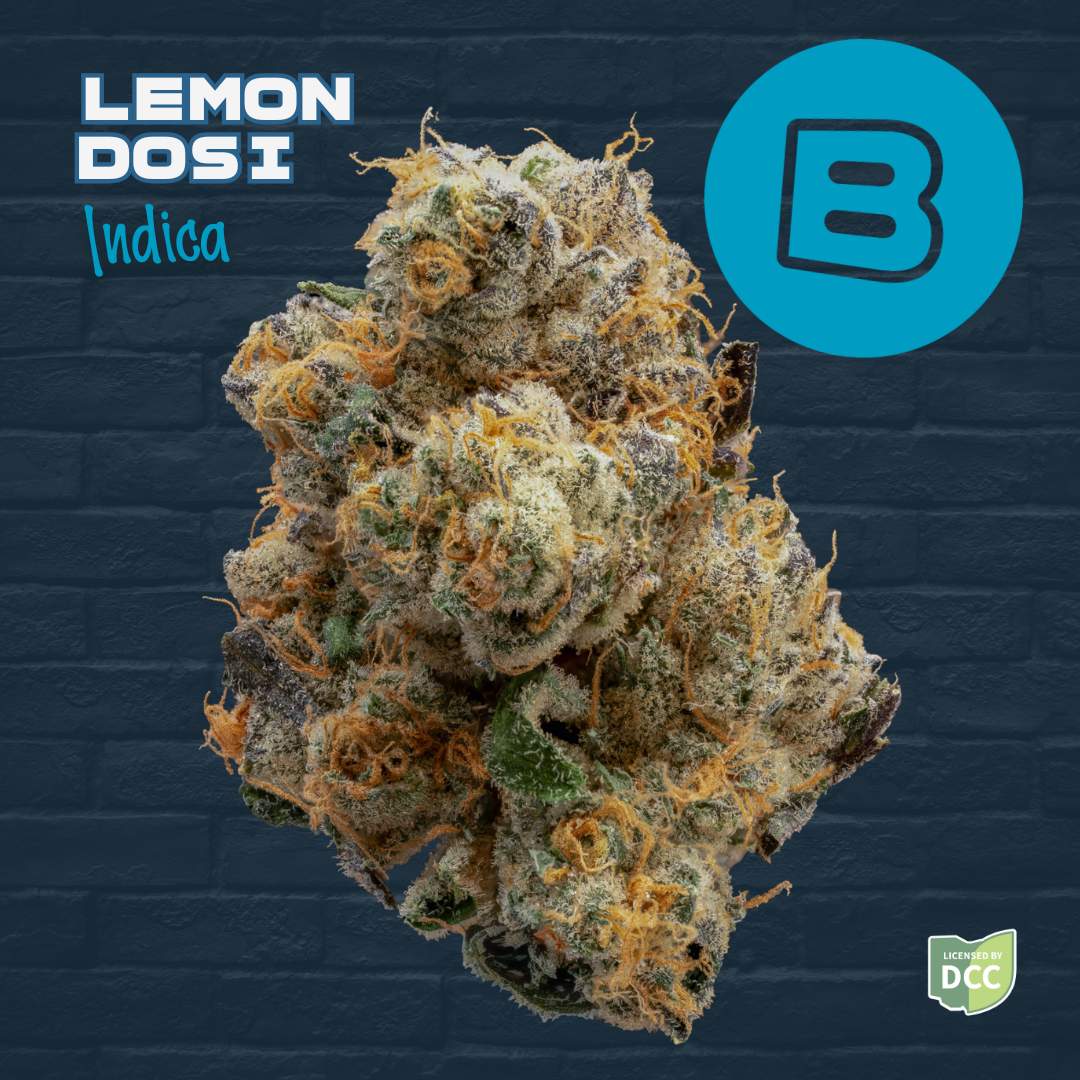 Lemon Dosi - 14.15g Whole Buds - Indica