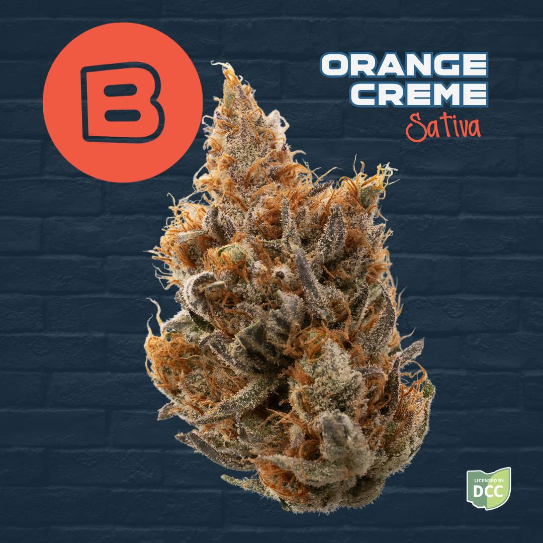 Orange Creme - 2.83g Whole Buds - Sativa