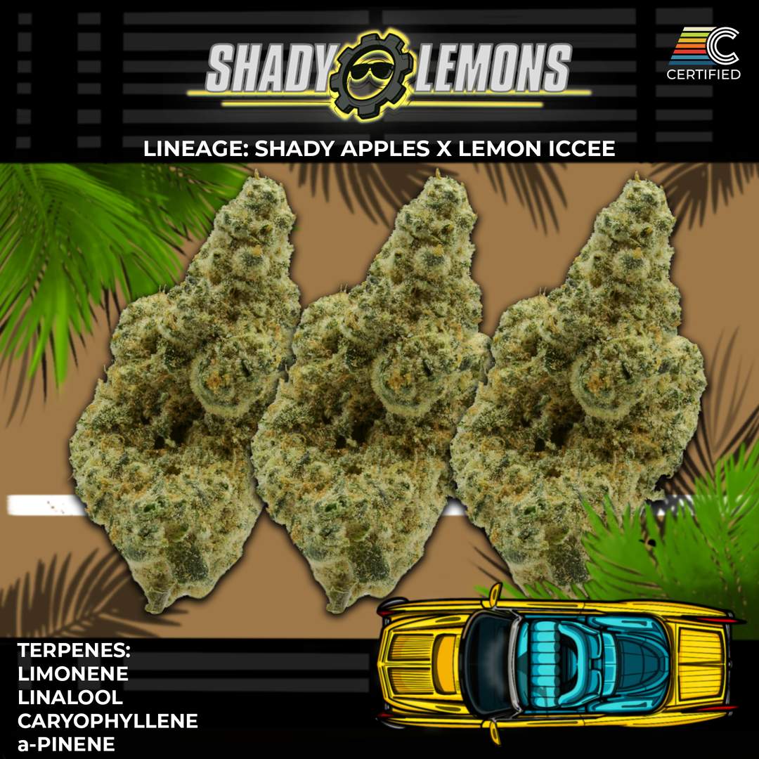 shady lemons - 2.83g  whole buds - hybrid 