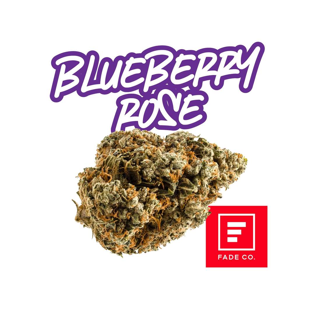 Blueberry Rose - 3.5g Whole Buds - Indica