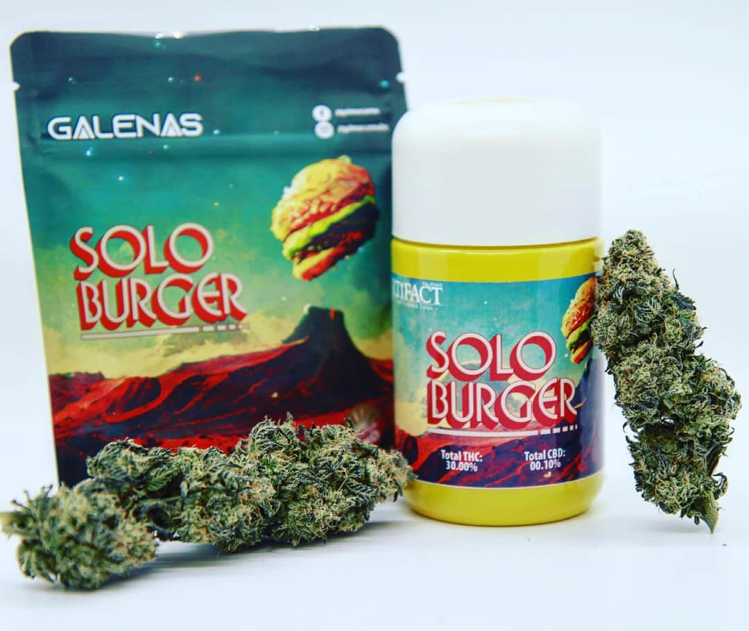 solo burger - whole buds 5.66g - hybrid