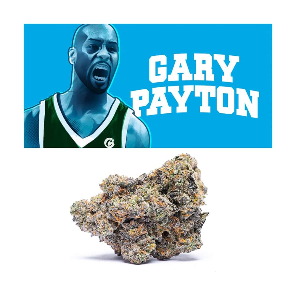 gary payton - 2.83g whole buds - indica