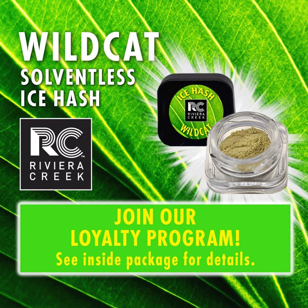 wild cat - 0.5g hash - sativa