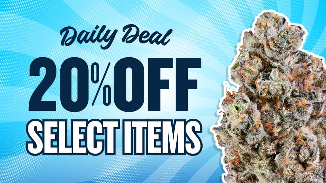 20% DAILY DEALS