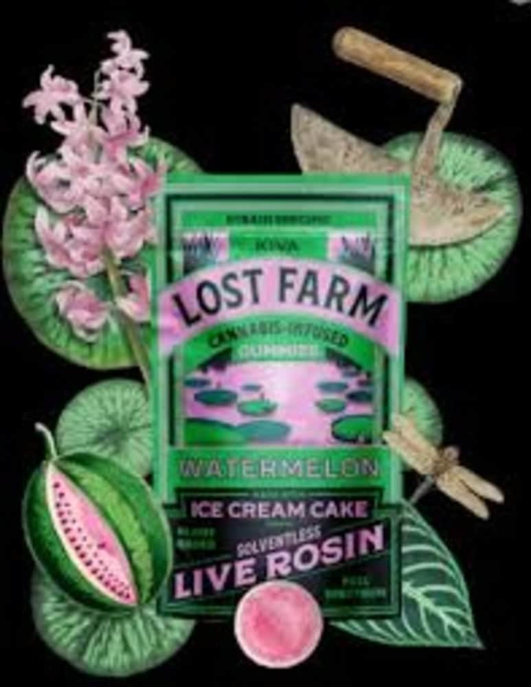 Ice Cream Cake X Watermelon - 100mg Candies - 10pk