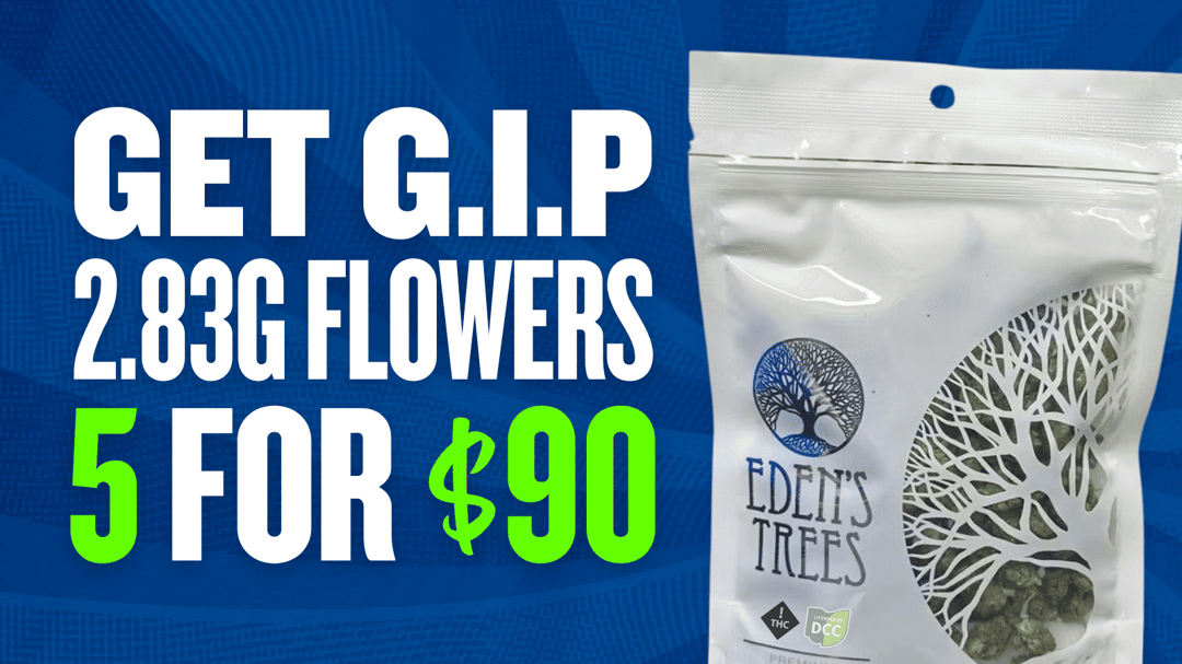 BUY 5 GIP 2.83G FOR $90