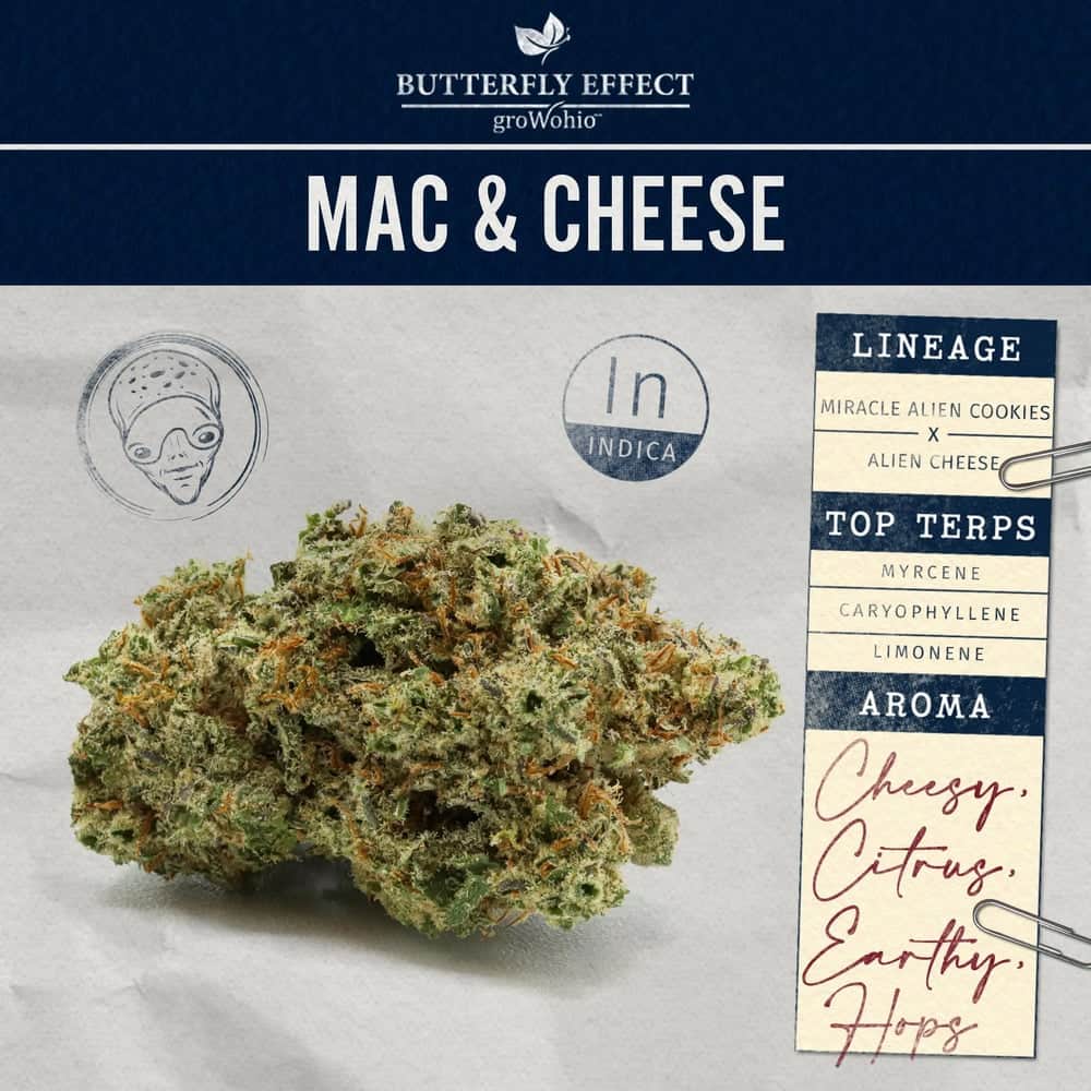 mac and cheese - 2.83g  whole buds - indica 