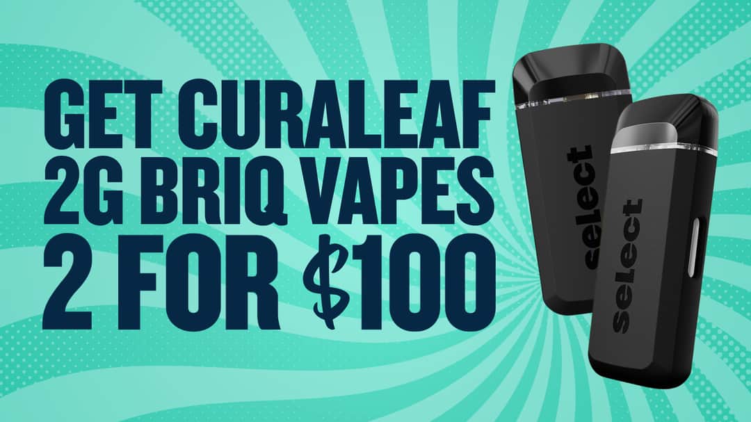 BUY 2 BRIQ 2G DISPOSABLES FOR $100