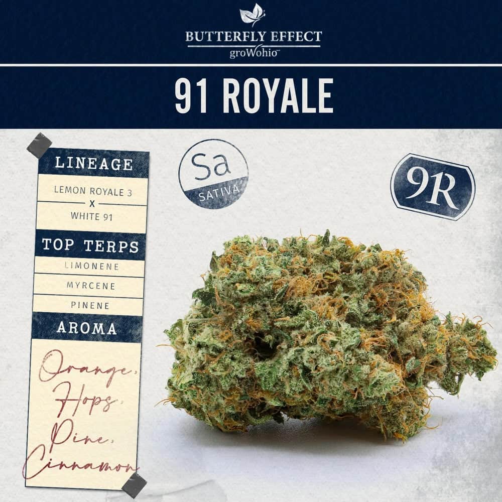 91 royale - 2.83g whole buds - sativa
