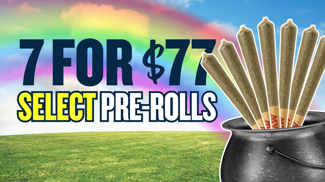 BUY 7 1G PREROLLS FOR $77