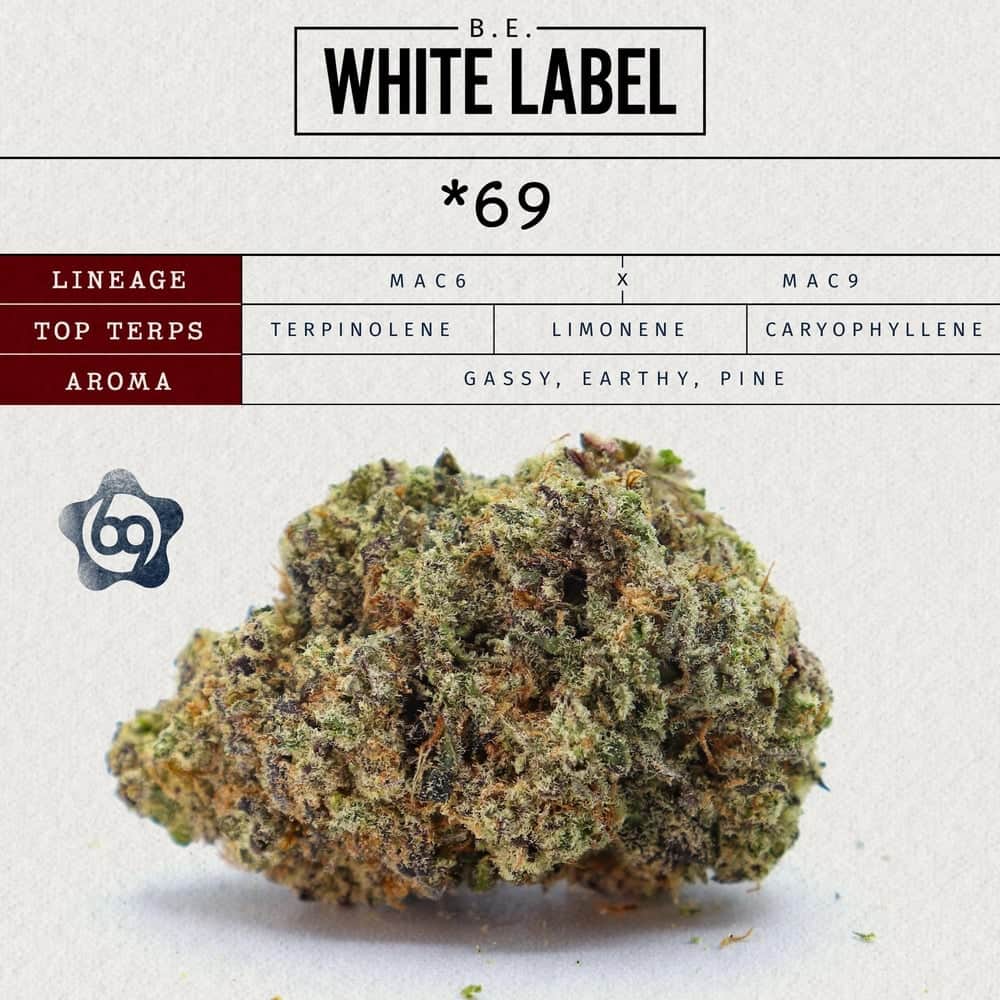 *69 - 2.83g  whole buds - indica 