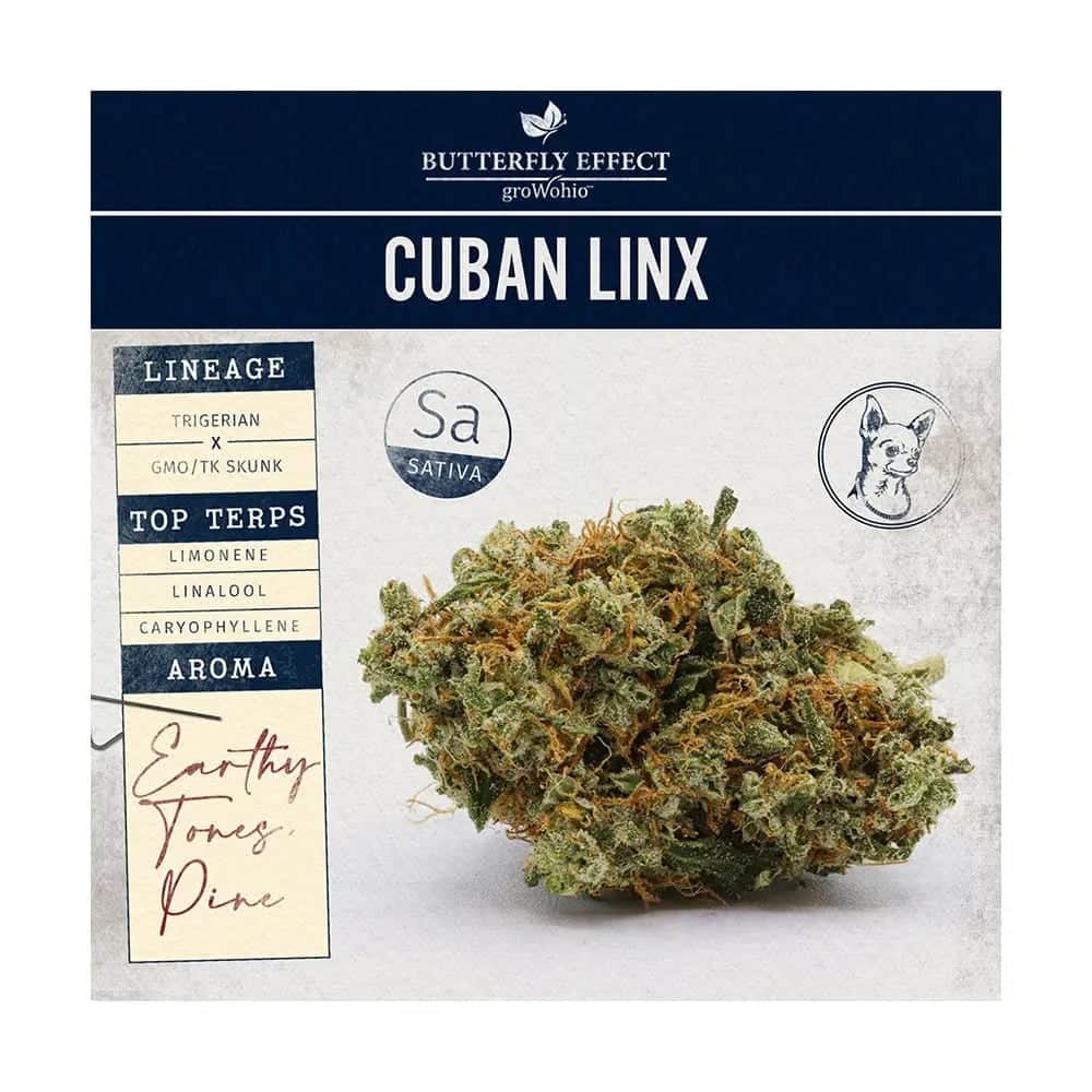 cuban linx - whole buds 2.83g - sativa
