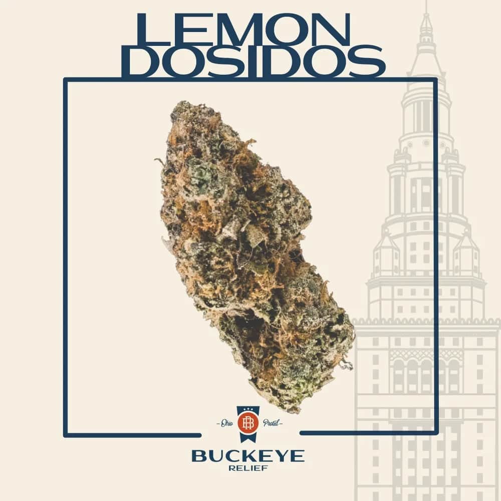 lemon dosi - 14.15g  whole buds - indica 