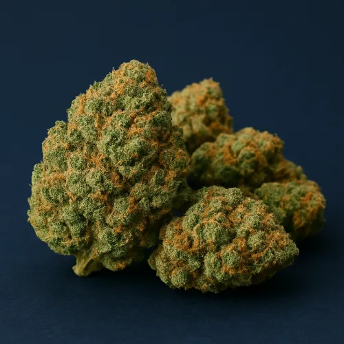 Popular Flower