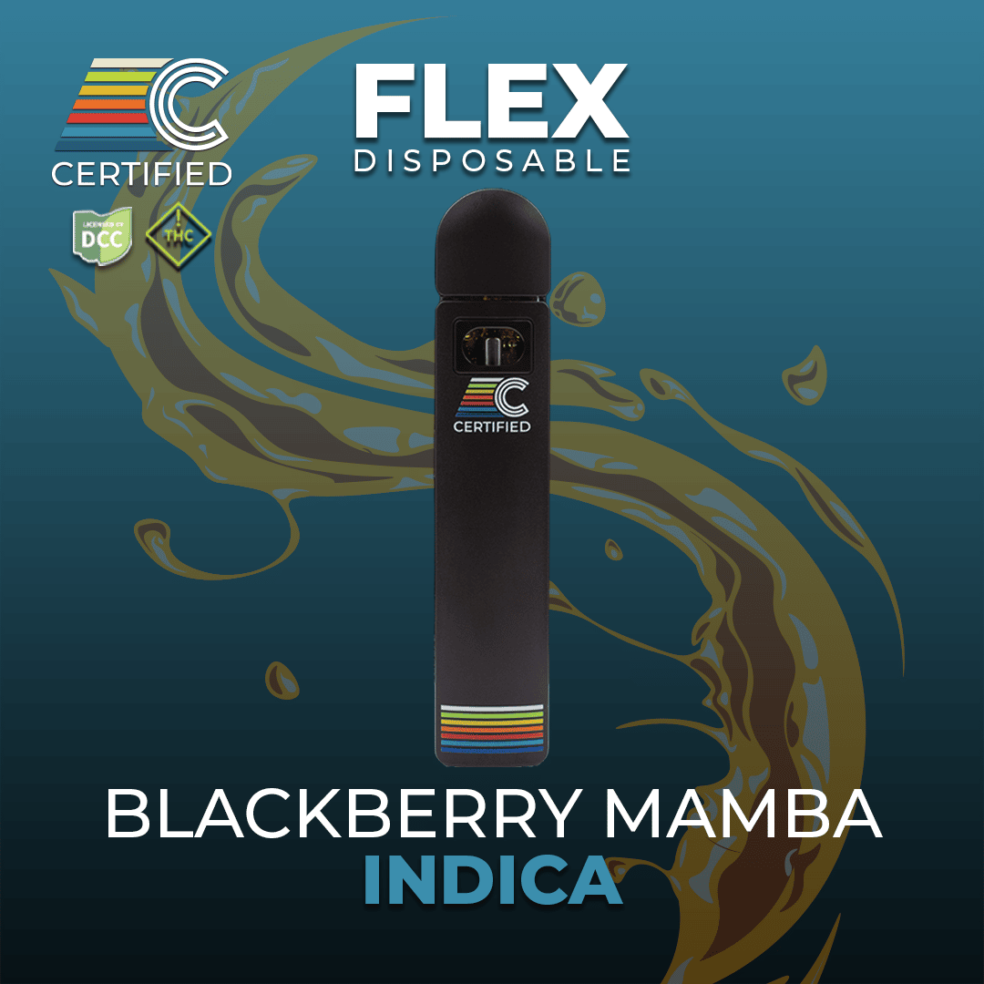 Blackberry Mamba - 1g Distillate Disposable - Indica
