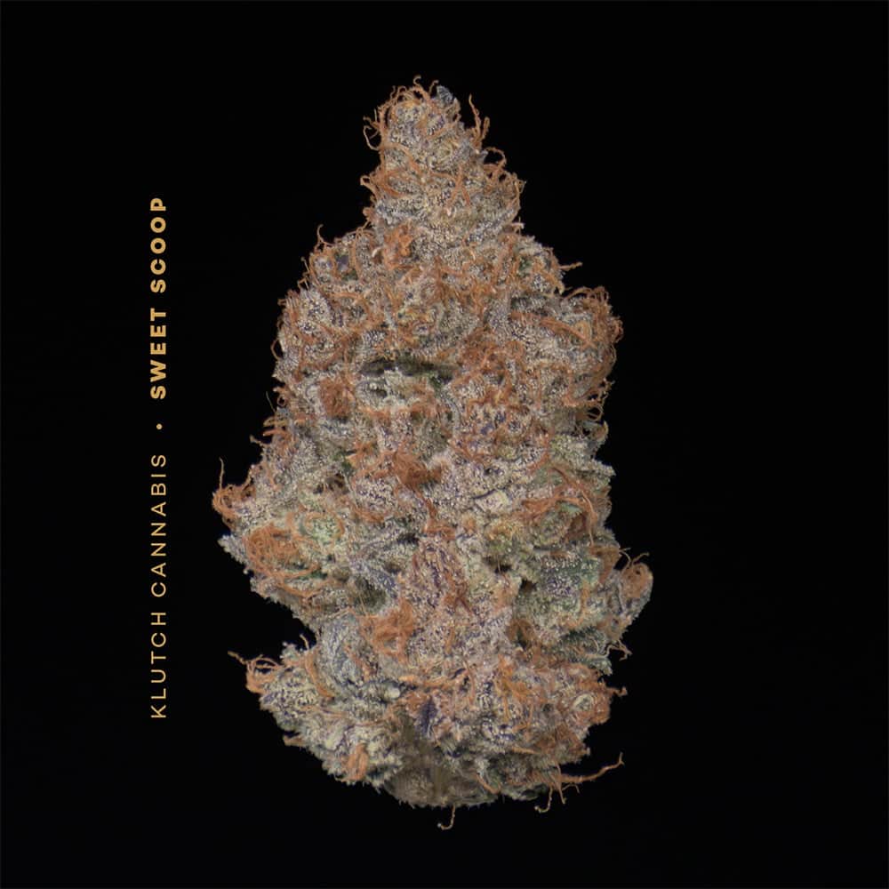 Sweet Scoop - 14.15g Whole Buds - Indica