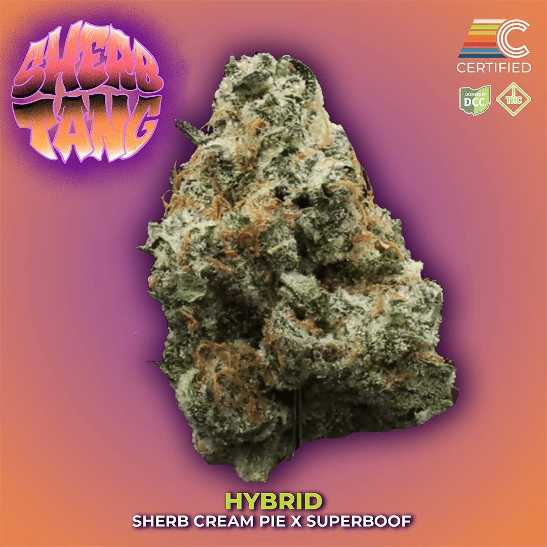Sherbtang #1 - 2.83g Whole Buds - Hybrid
