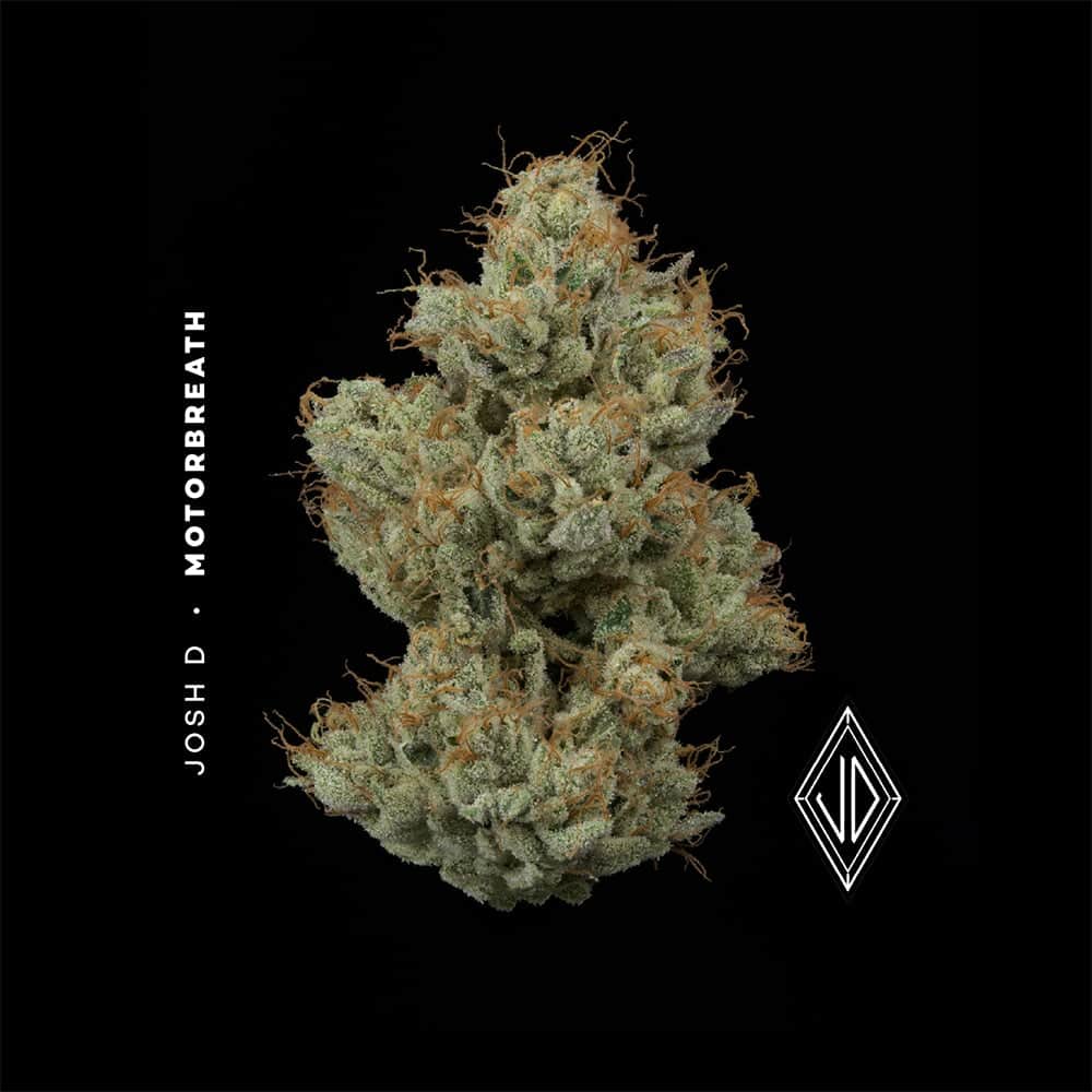 Motorbreath - 14.15g Smalls - Indica