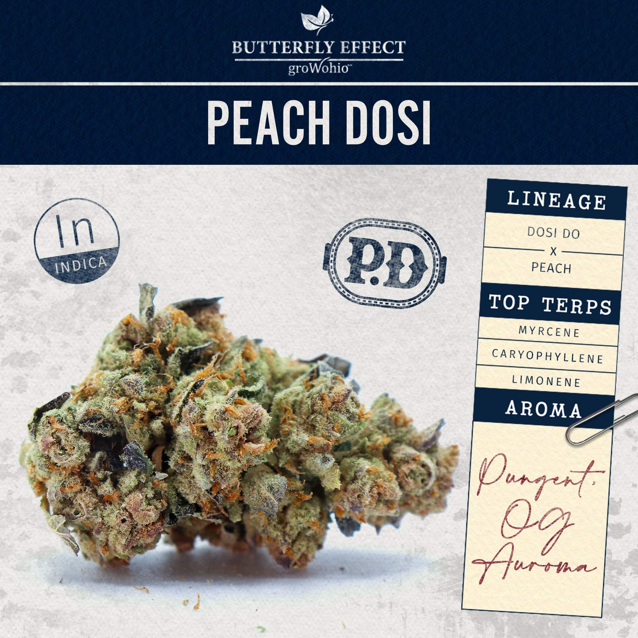 Peach Dosi - 28.3g Whole Buds - Indica