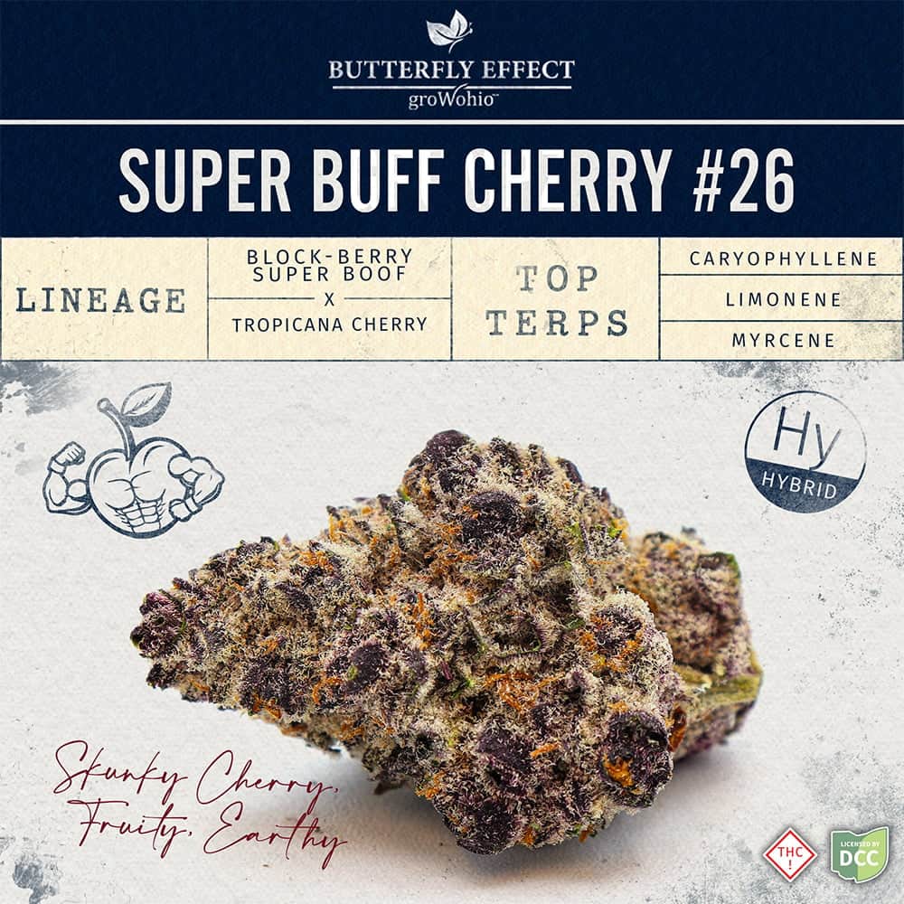 Super Buff Cherry #26 - 14.15g Whole Buds - Hybrid