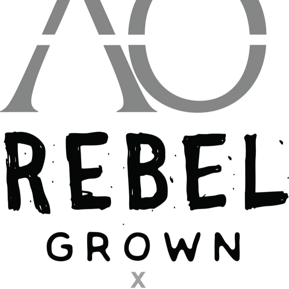 Double Og Chem - 1g Live Resin Disposable - Hybrid