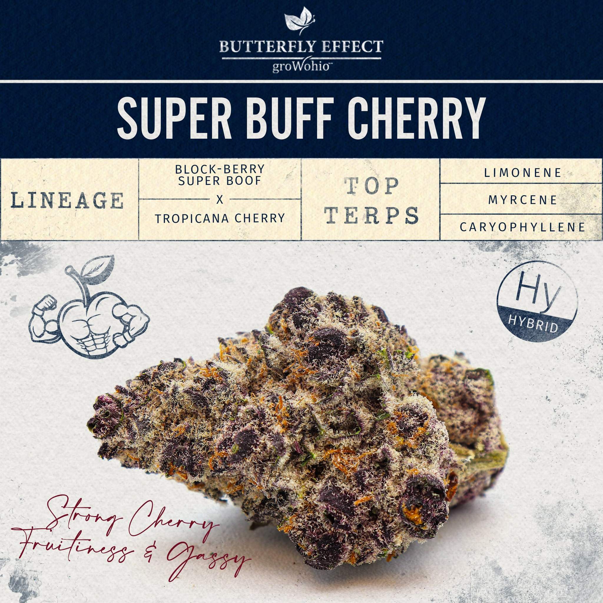 Super Buff Cherry #26 - 2.83g Whole Buds - Hybrid