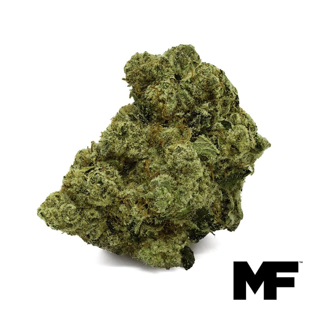 Motor Breath - 3.5g Whole Buds - Indica