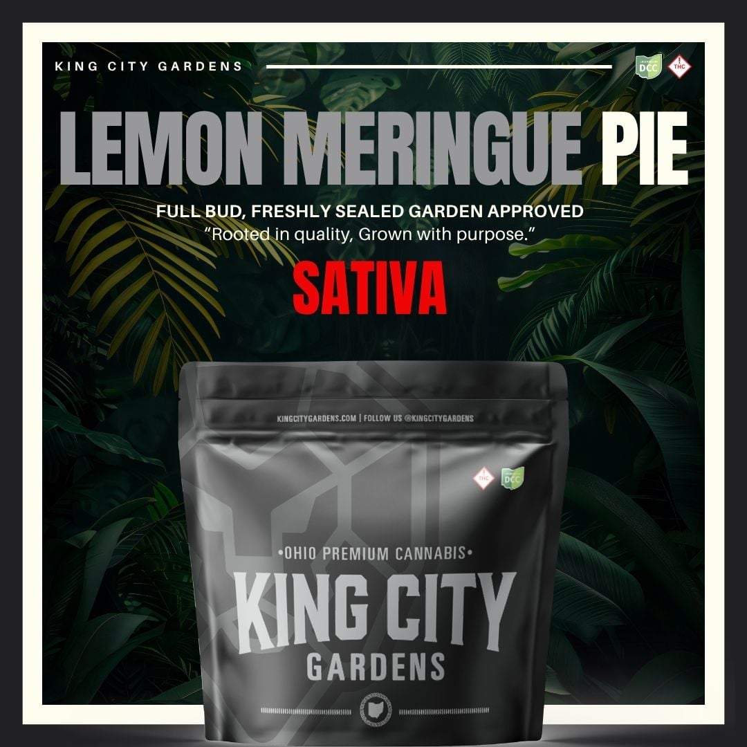 Lemon Meringue Pie - 2.83g Smalls - Sativa