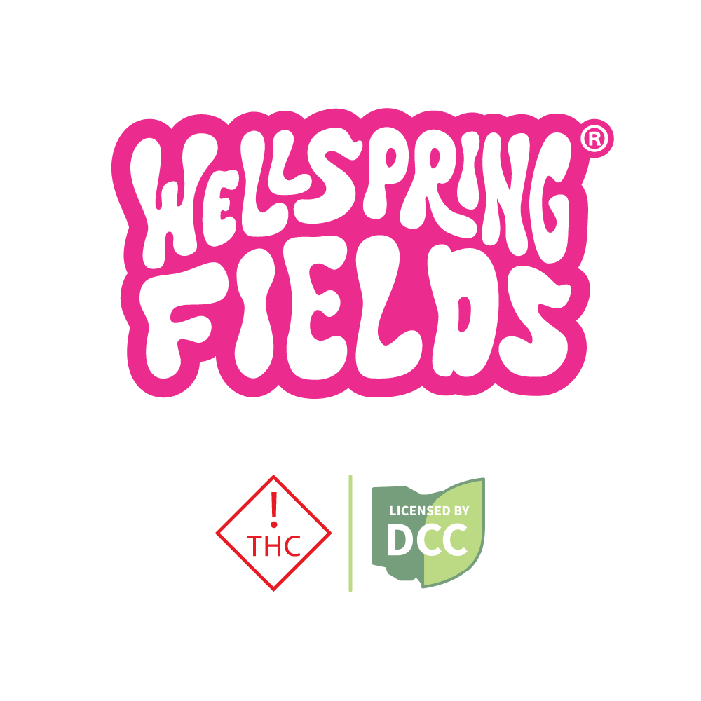 1:1 Extra Strength Salve - 300mg Salves - CBD