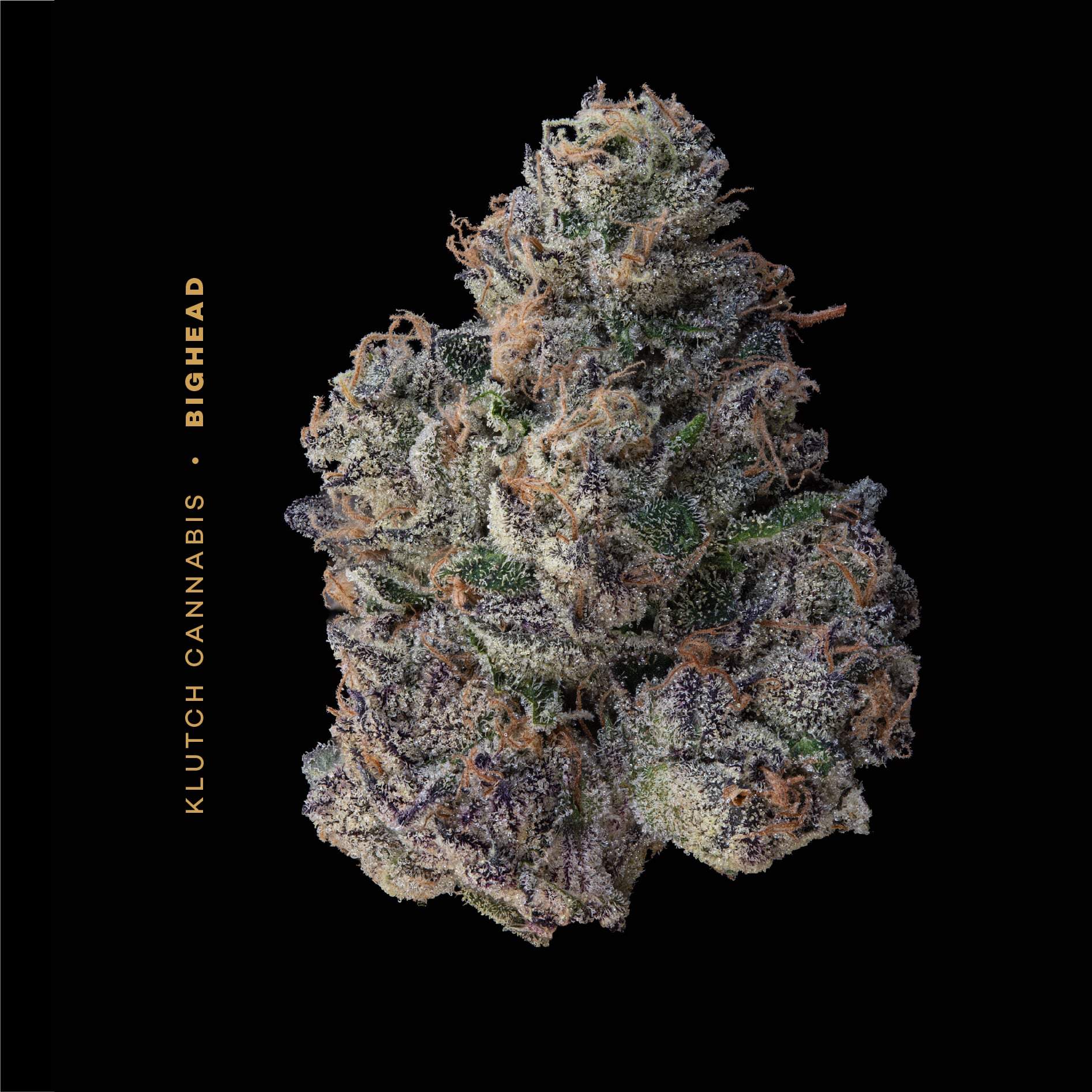 Big Head - 2.83g Whole Buds - Indica