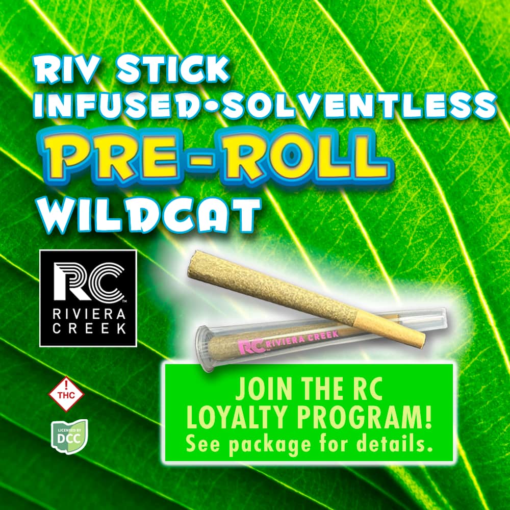 Wild Cat - 1g Infused - Sativa