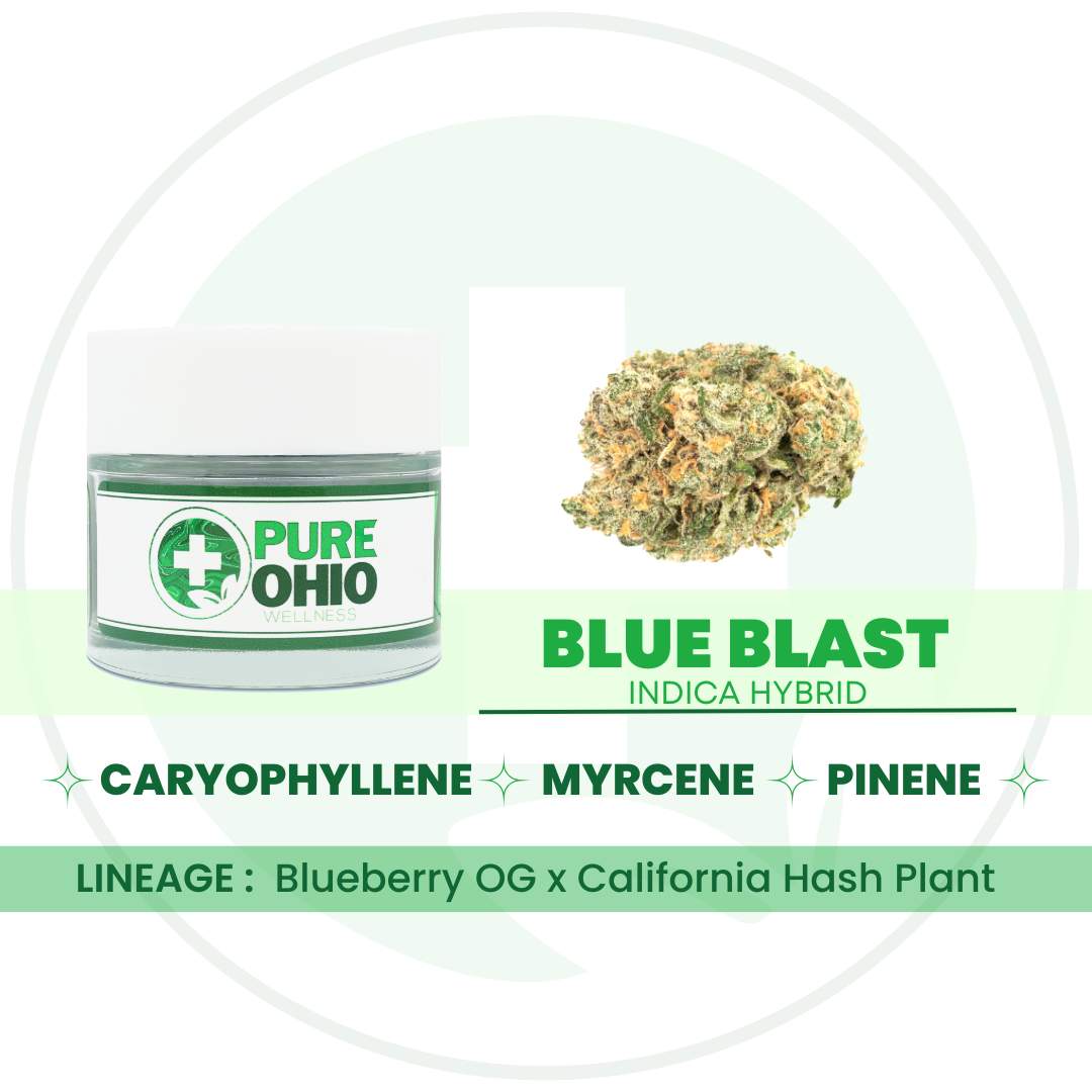 Blue Blast - 2.83g Whole Buds - Hybrid