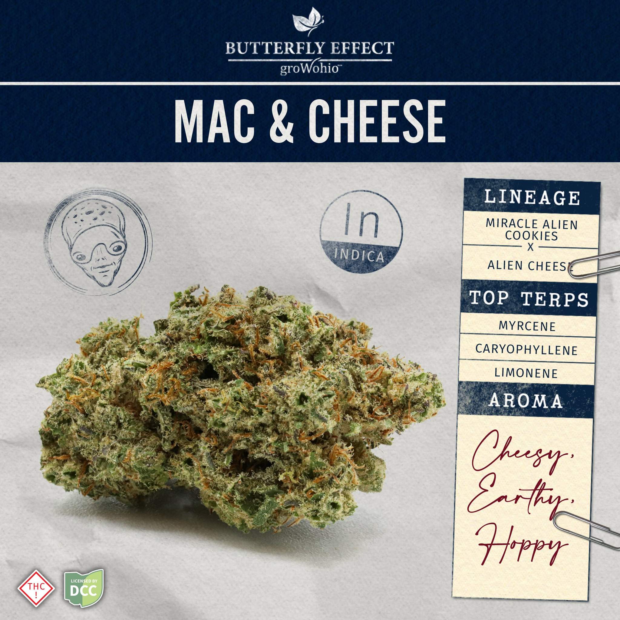 Mac And Cheese - 2.83g Whole Buds - Indica