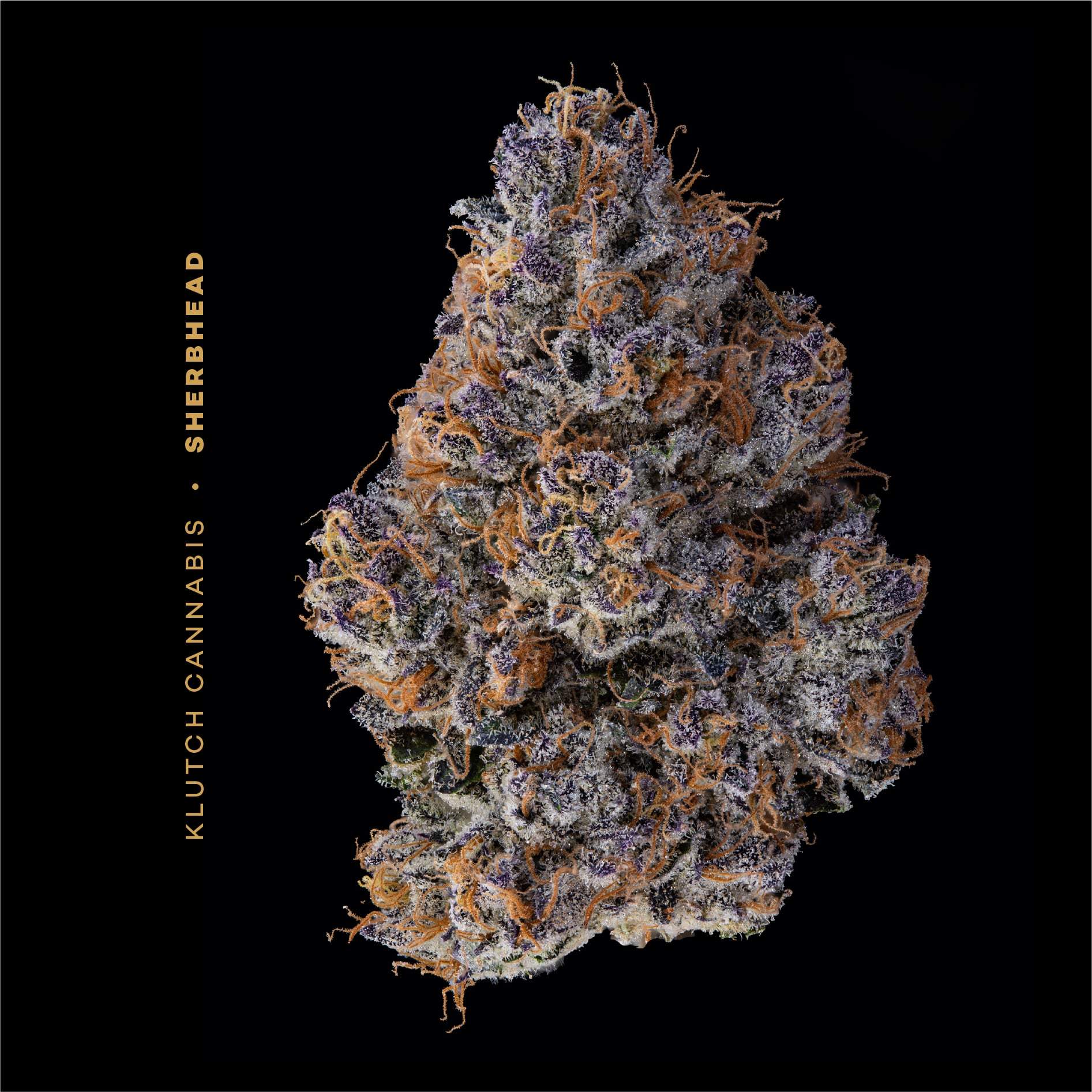 Sherbhead - 14.15g Whole Buds - Hybrid