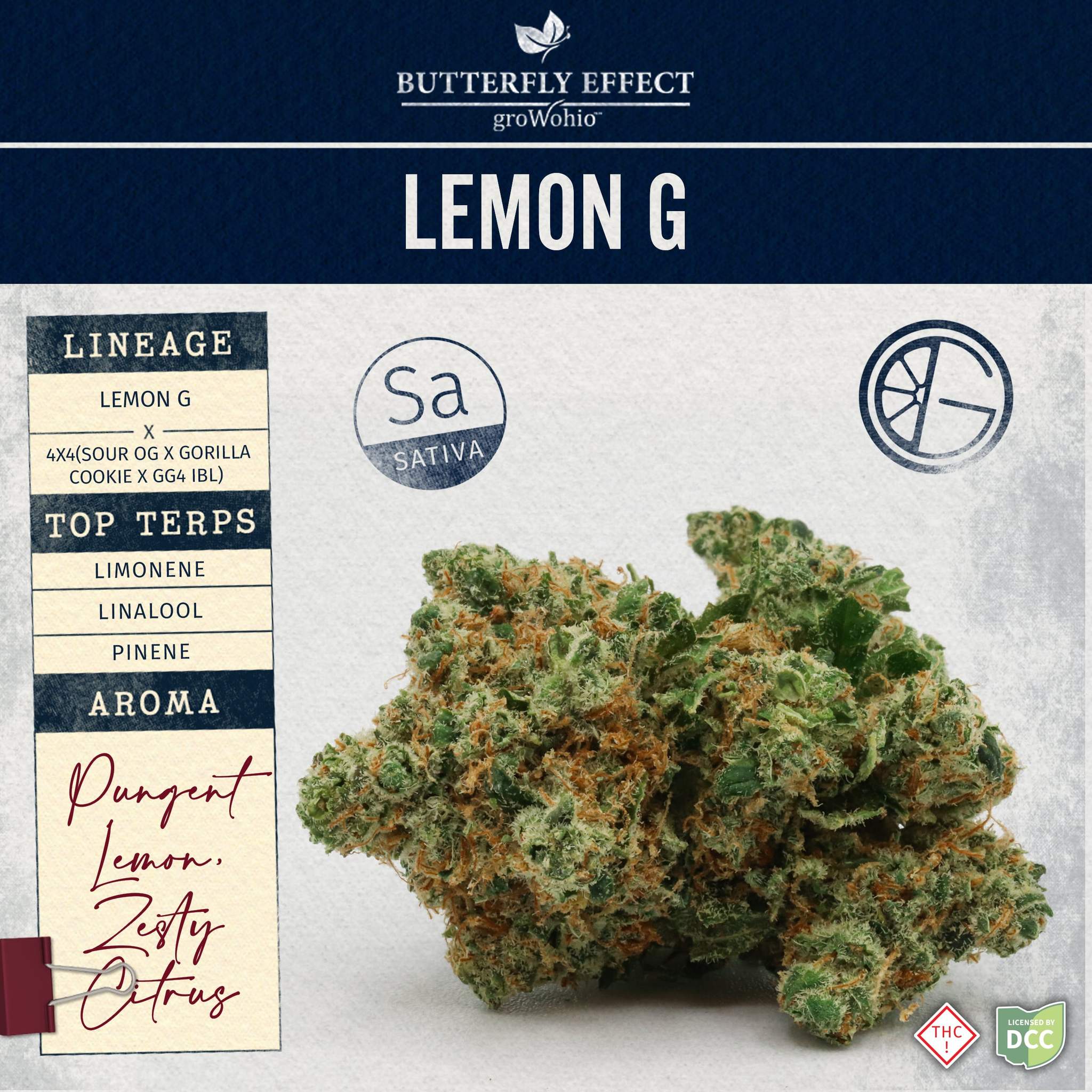 Lemon G - 14.15g Whole Buds - Sativa