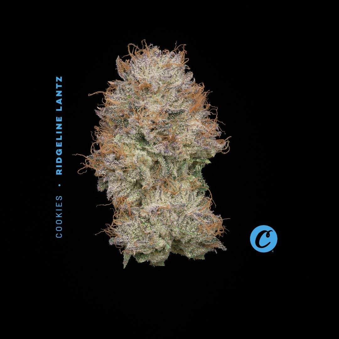 Ridgeline Lantz - 14.15g Smalls - Hybrid