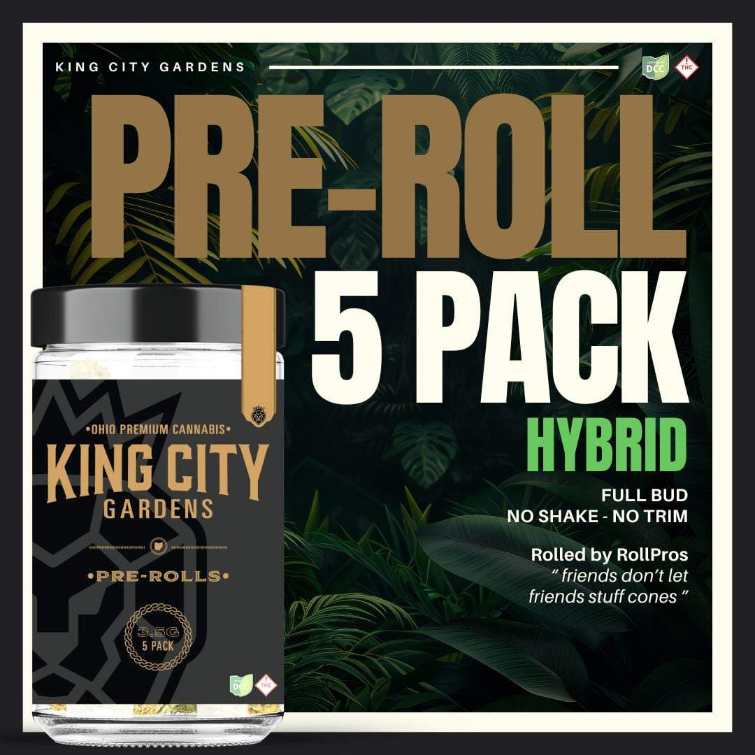 Fritter Quitter - 3.5g Packs - Hybrid - 5pk