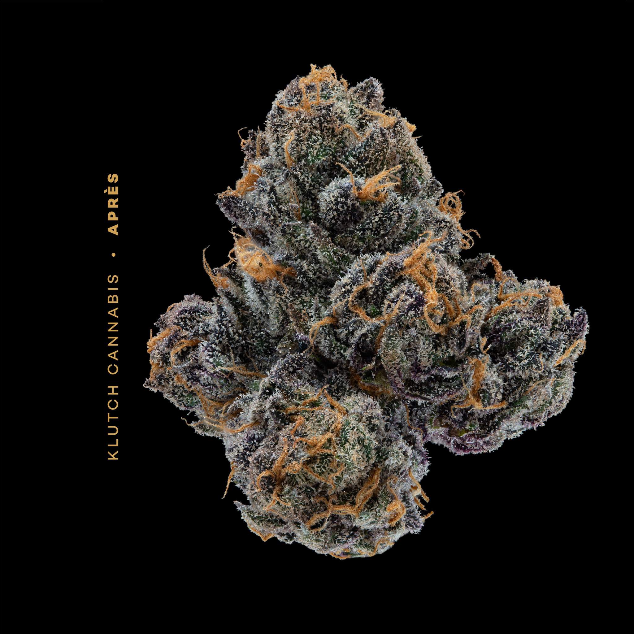 Scotty 2 Hot - 2.83g Whole Buds - Indica